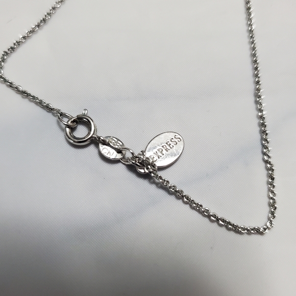 Express Silver Rectangle Necklace - Picture 3 of 5